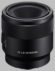 Sony FE 50mm f/2.8 Macro SEL50M28 Review